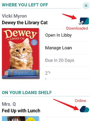 Are Libby Books Available Offline? A Comprehensive View