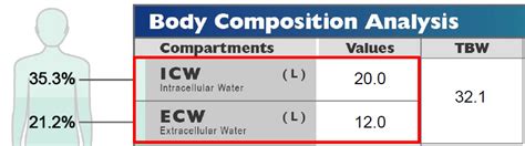 What Is ECW in Body Composition and Its Related Explorations